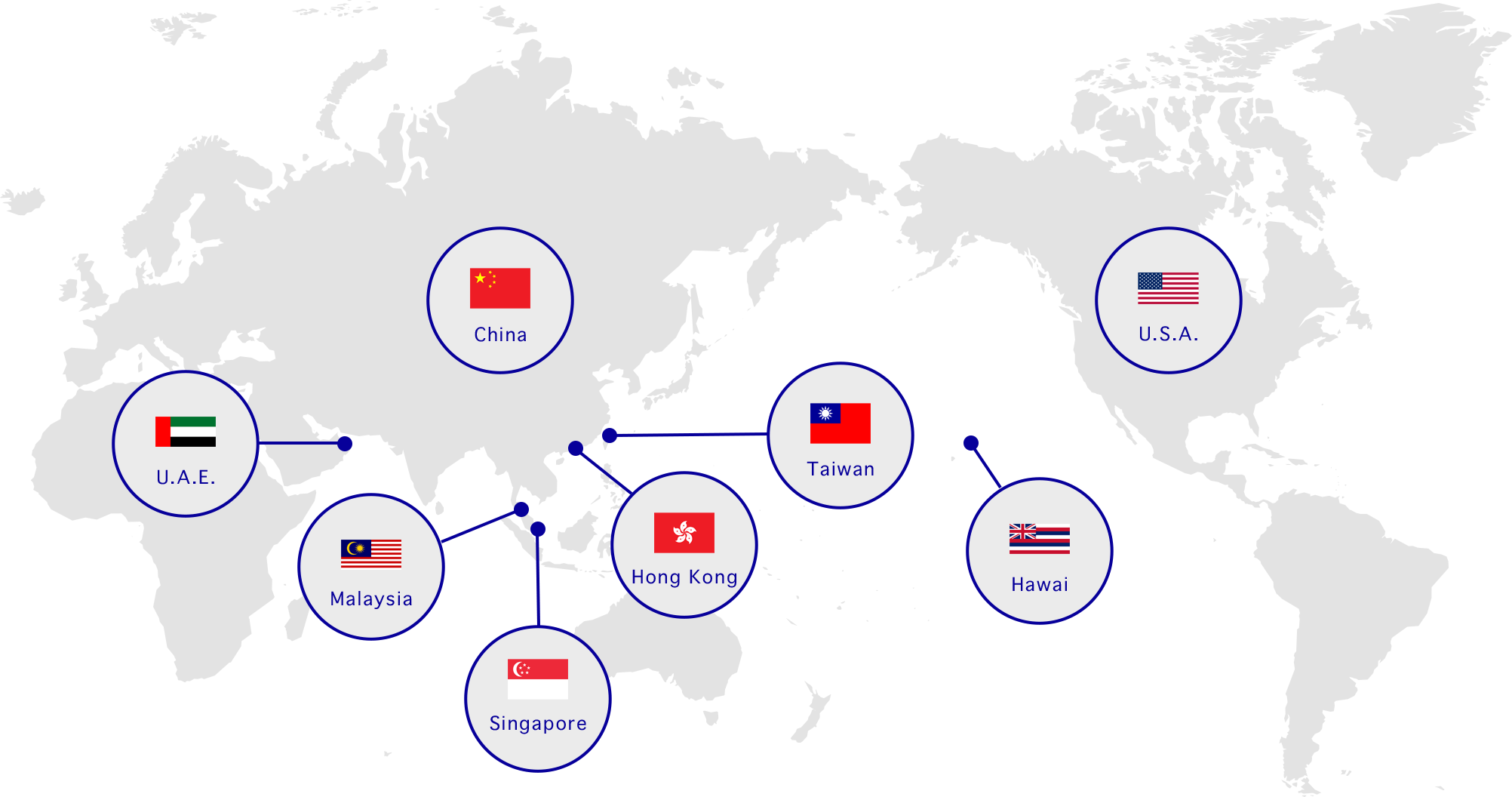 Overseas Business Achievements Map